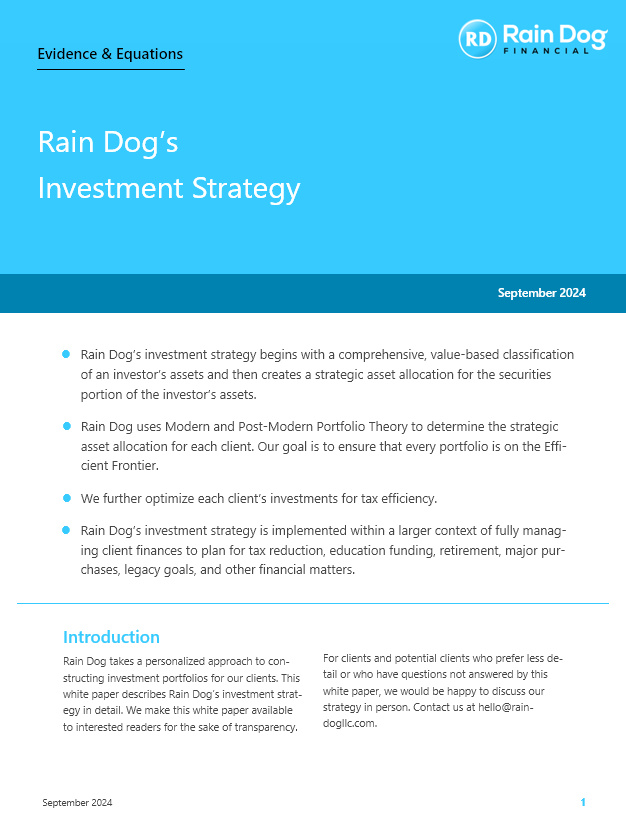 Bellevue Financial Advisor - Rain Dog - Investment Strategy